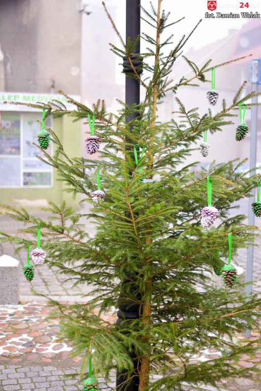 Przedszkolaki i uczniowie udekorowali świąteczne drzewka