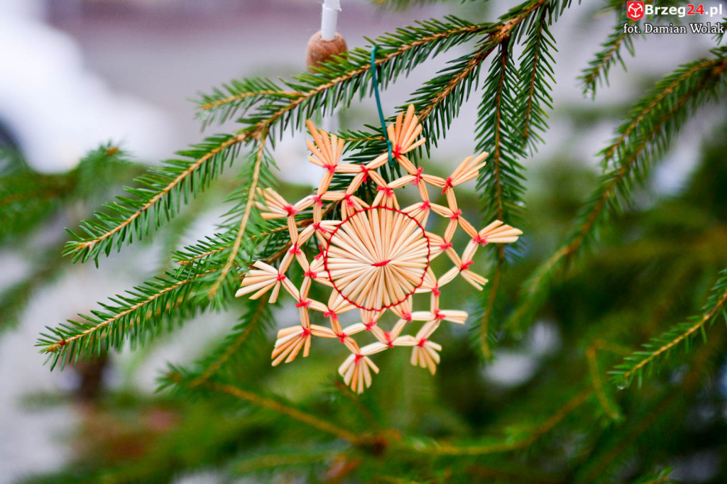 Przedszkolaki i uczniowie udekorowali świąteczne drzewka