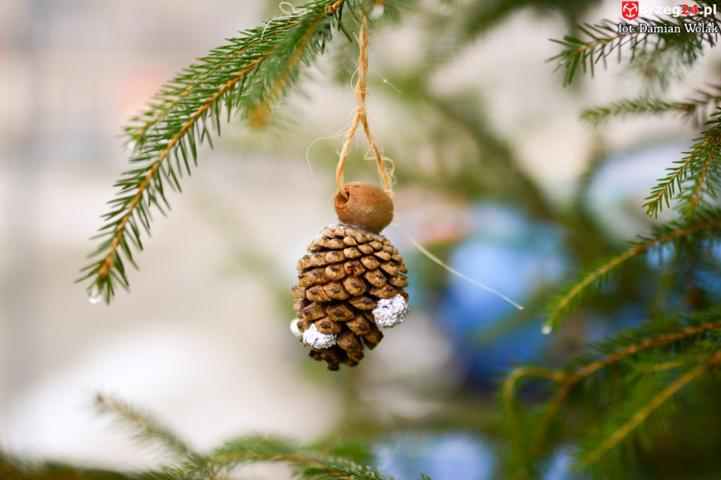 Przedszkolaki i uczniowie udekorowali świąteczne drzewka
