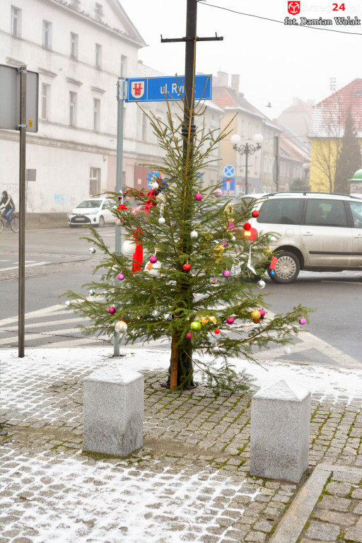 Przedszkolaki i uczniowie udekorowali świąteczne drzewka