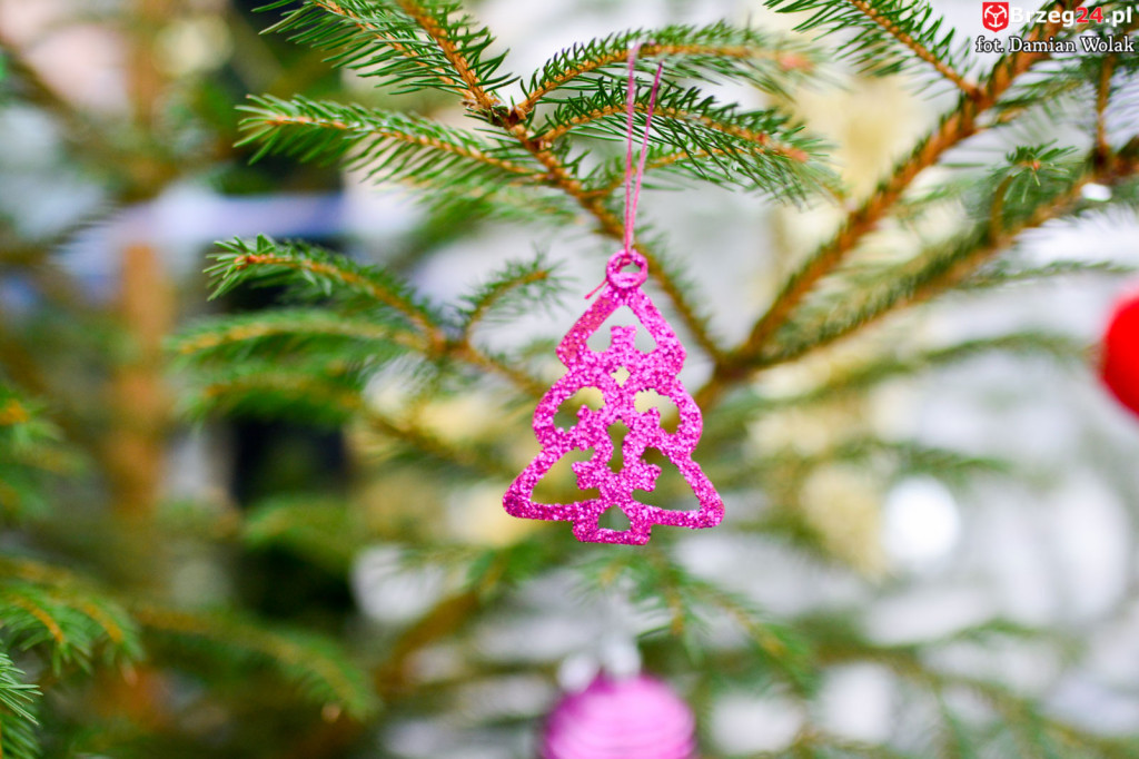 Przedszkolaki i uczniowie udekorowali świąteczne drzewka