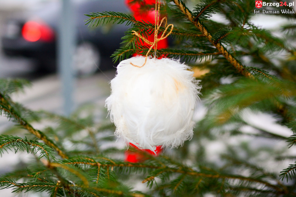 Przedszkolaki i uczniowie udekorowali świąteczne drzewka