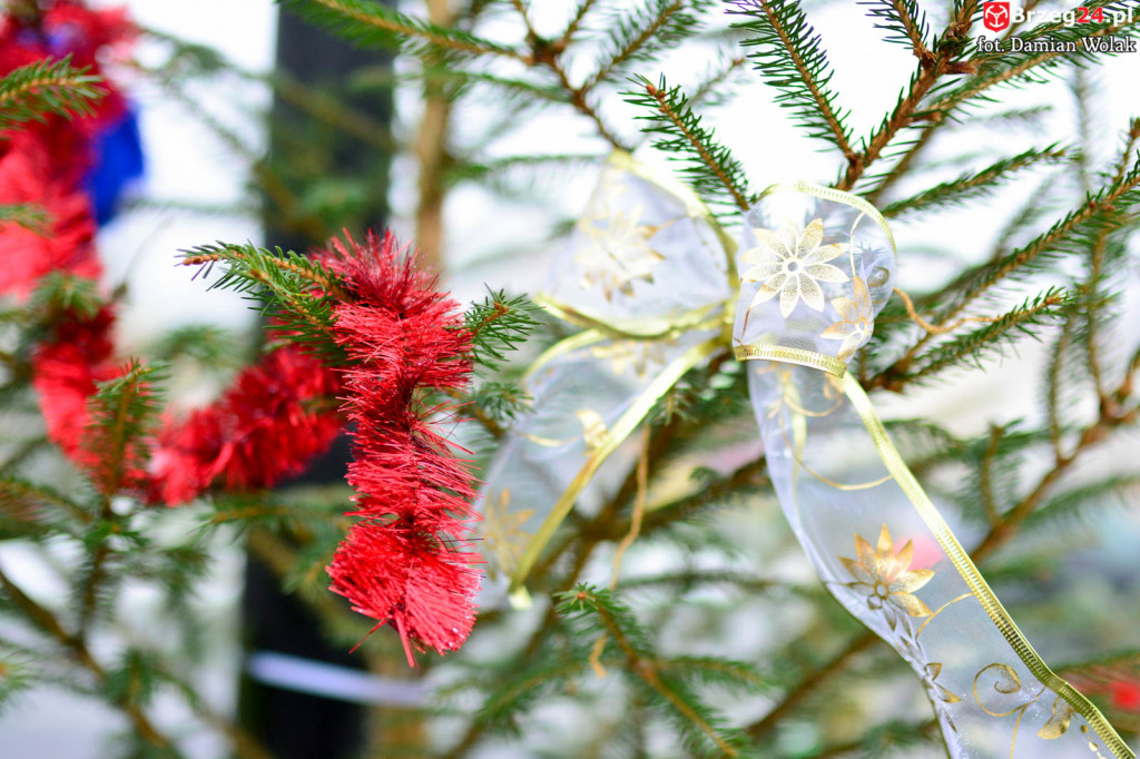 Przedszkolaki i uczniowie udekorowali świąteczne drzewka