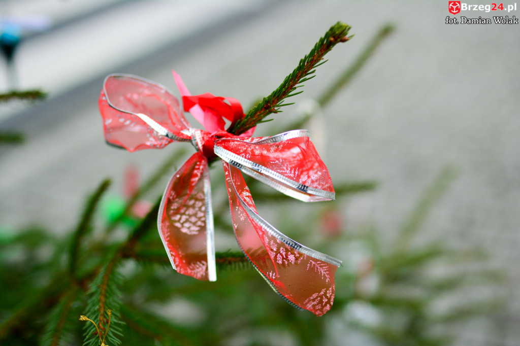 Przedszkolaki i uczniowie udekorowali świąteczne drzewka