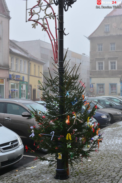 Przedszkolaki i uczniowie udekorowali świąteczne drzewka