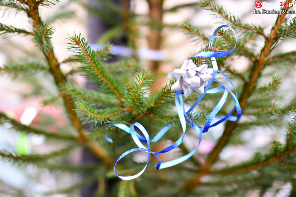 Przedszkolaki i uczniowie udekorowali świąteczne drzewka