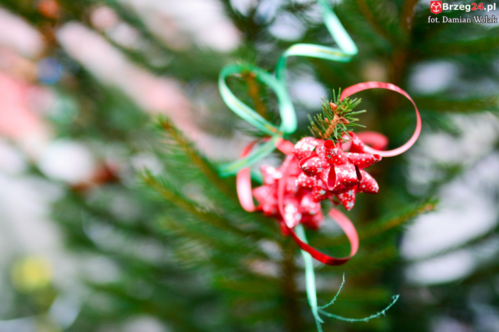 Przedszkolaki i uczniowie udekorowali świąteczne drzewka