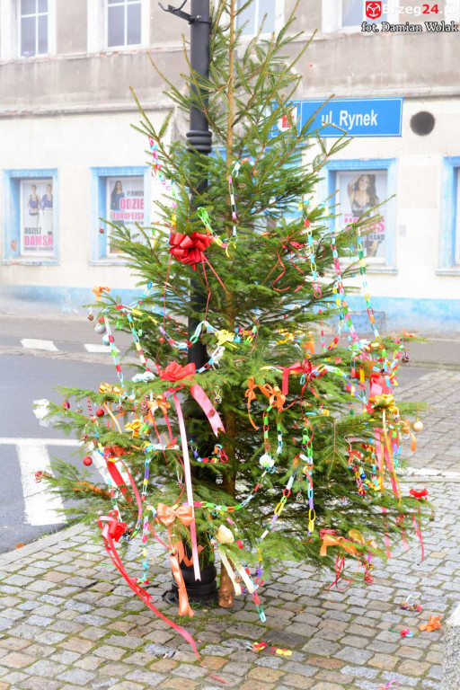 Przedszkolaki i uczniowie udekorowali świąteczne drzewka