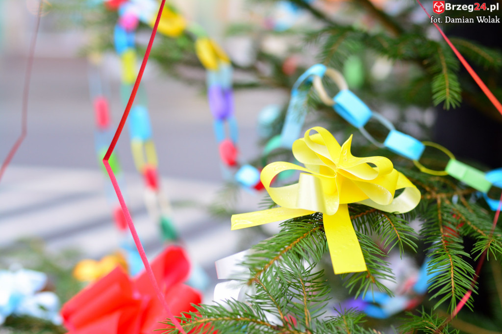 Przedszkolaki i uczniowie udekorowali świąteczne drzewka