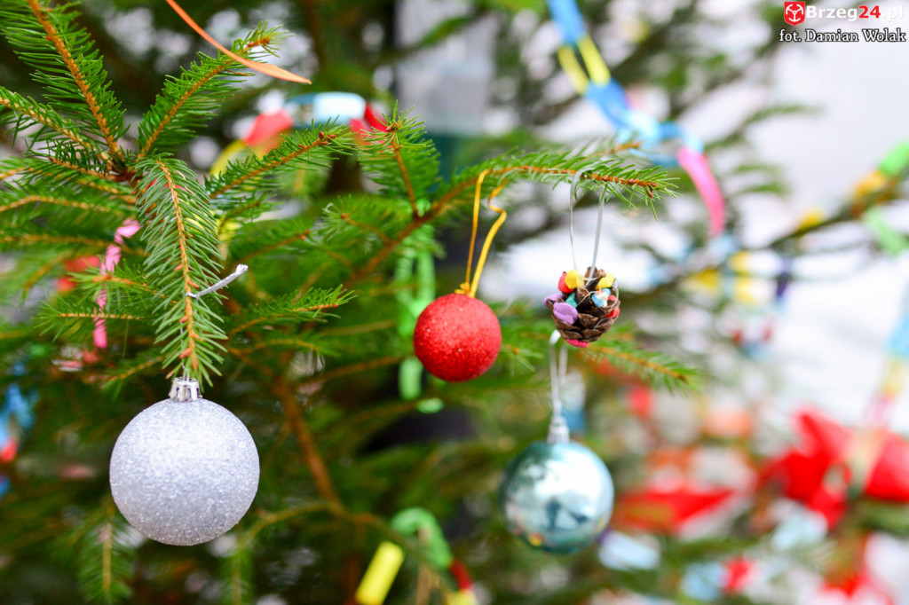 Przedszkolaki i uczniowie udekorowali świąteczne drzewka