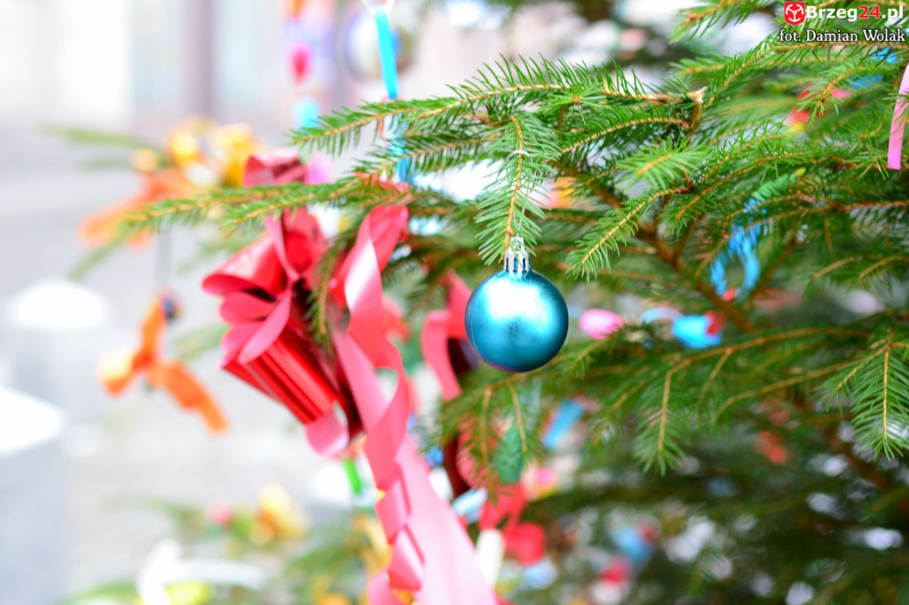 Przedszkolaki i uczniowie udekorowali świąteczne drzewka