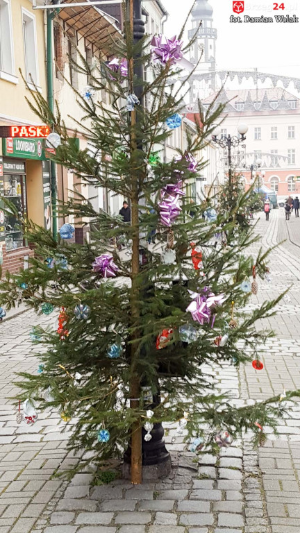 Przedszkolaki i uczniowie udekorowali świąteczne drzewka