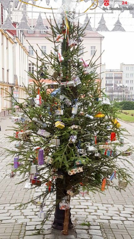 Przedszkolaki i uczniowie udekorowali świąteczne drzewka