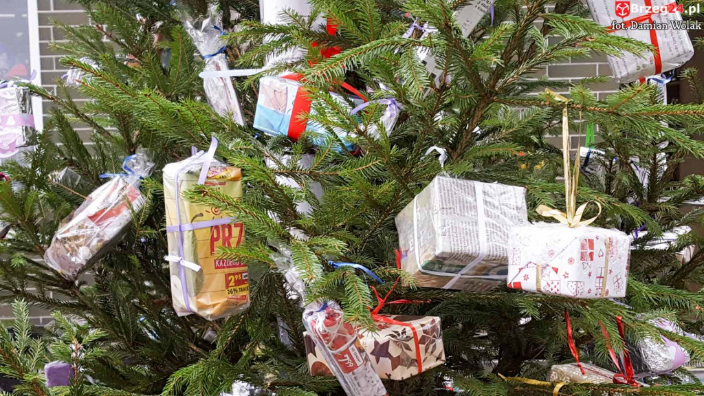 Przedszkolaki i uczniowie udekorowali świąteczne drzewka