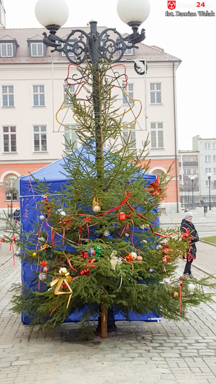 Przedszkolaki i uczniowie udekorowali świąteczne drzewka