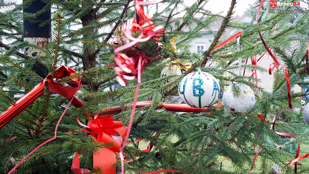 Przedszkolaki i uczniowie udekorowali świąteczne drzewka