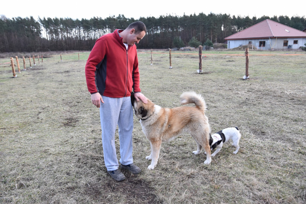 Na ratunek koniom. Zamiast rzeźni, zagroda pod lasem w Lubszy