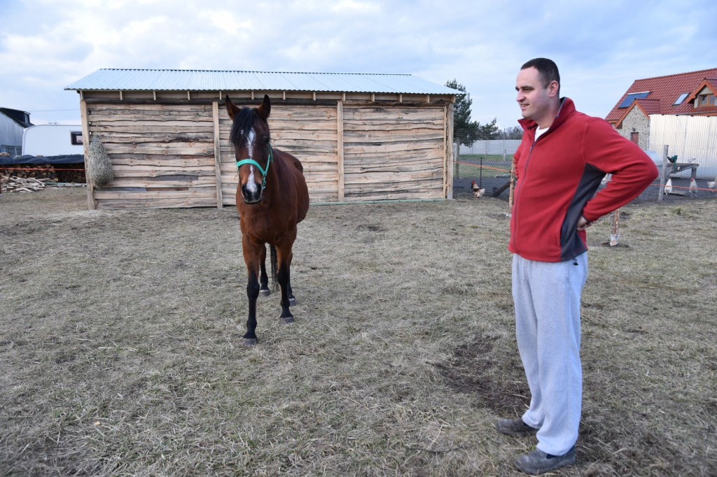 Na ratunek koniom. Zamiast rzeźni, zagroda pod lasem w Lubszy