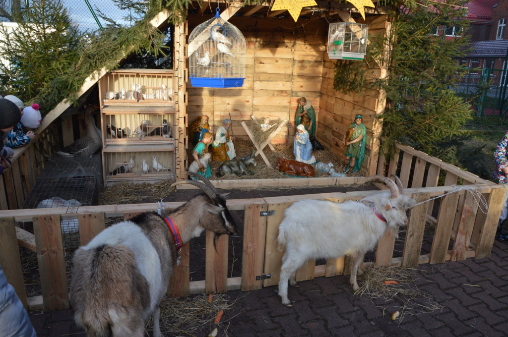 Pierwszy Orszak Trzech Króli w Lubszy