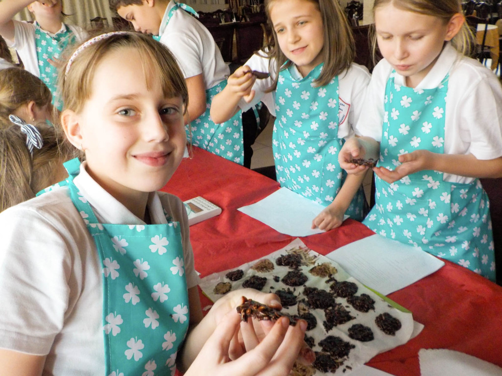 Sukces matematycznego projektu w NSP im. św. Tomasza z Akwinu w Brzegu!