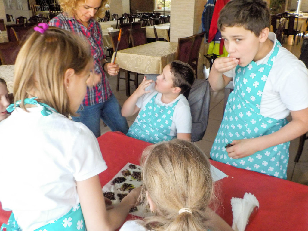 Sukces matematycznego projektu w NSP im. św. Tomasza z Akwinu w Brzegu!