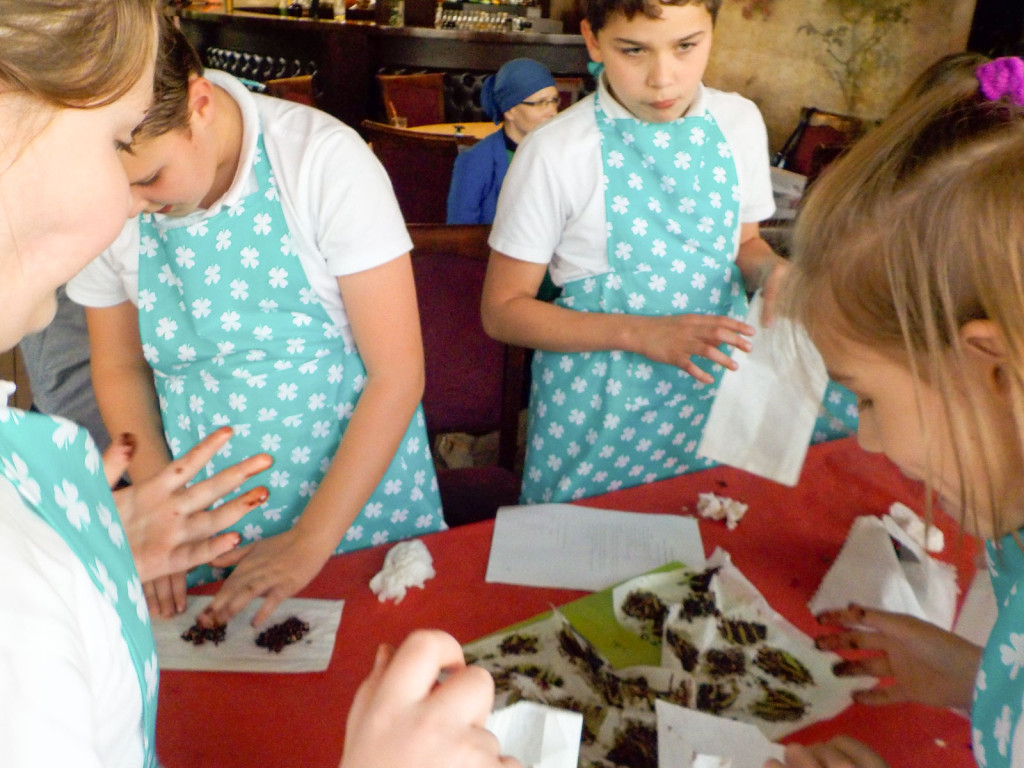 Sukces matematycznego projektu w NSP im. św. Tomasza z Akwinu w Brzegu!