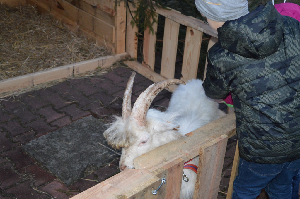 Pierwszy Orszak Trzech Króli w Lubszy