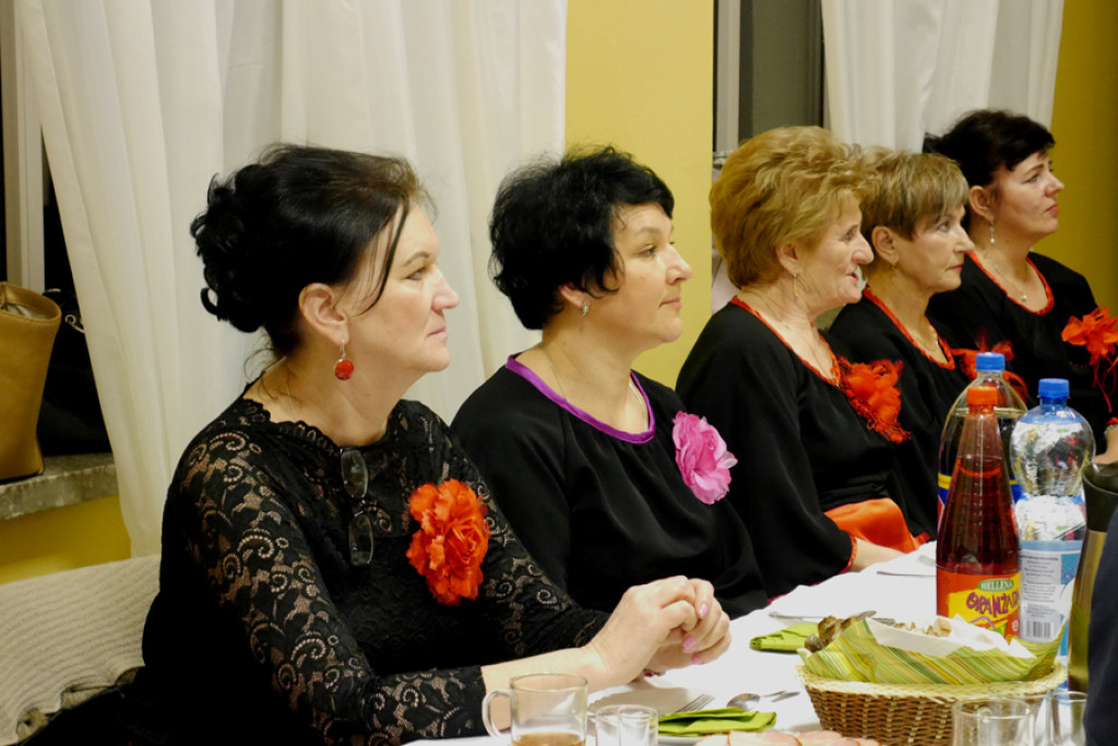 Radosne kolędowanie w Dobrzyniu [fotorelacja]