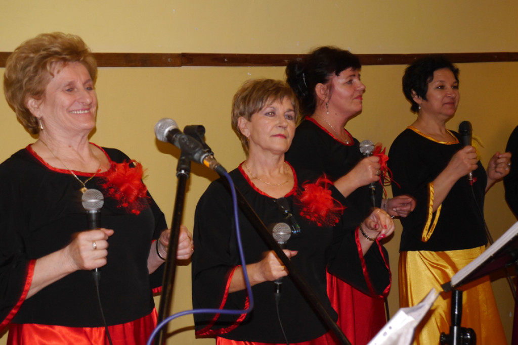 Radosne kolędowanie w Dobrzyniu [fotorelacja]