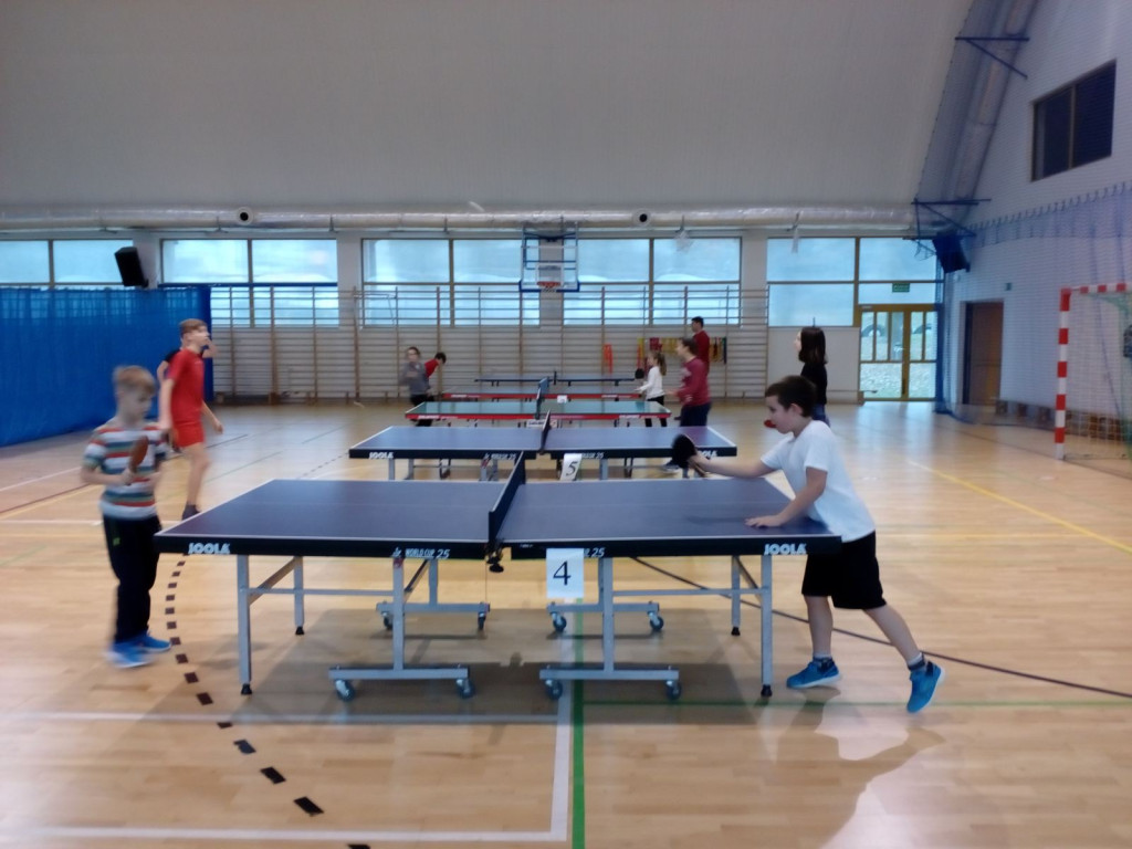 Zajęcia sportowe - Ferie 2018