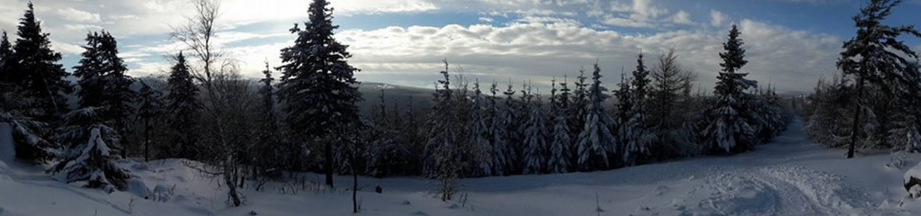 Wspomnienia to do siebie mają, że zawsze, kiedy zechcesz, wracają...