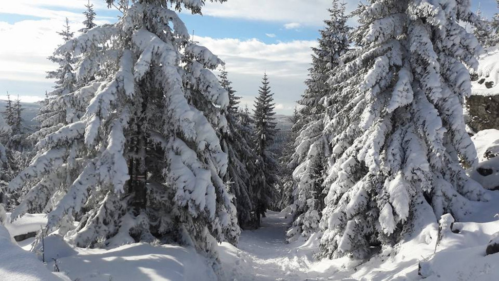 Wspomnienia to do siebie mają, że zawsze, kiedy zechcesz, wracają...