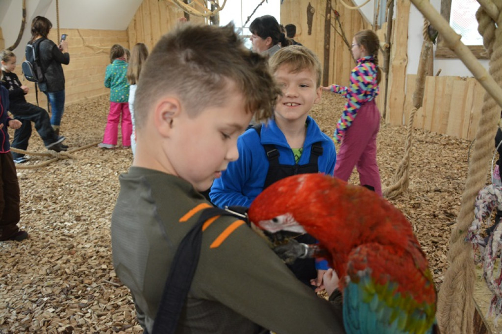 Zimowisko 2018 w Murzasichle