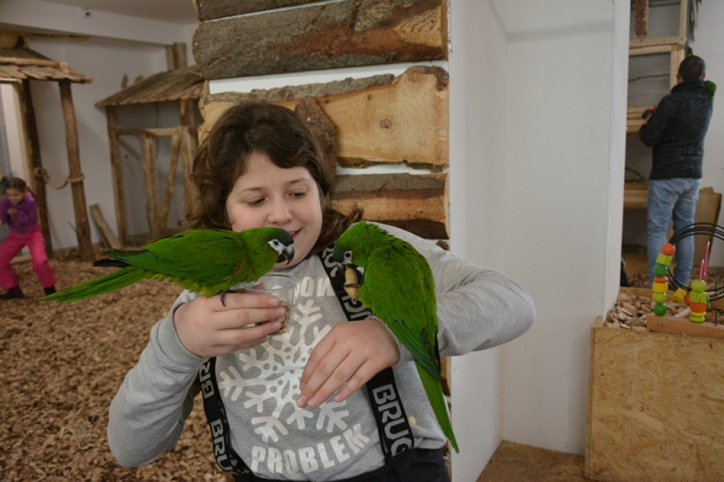 Zimowisko 2018 w Murzasichle