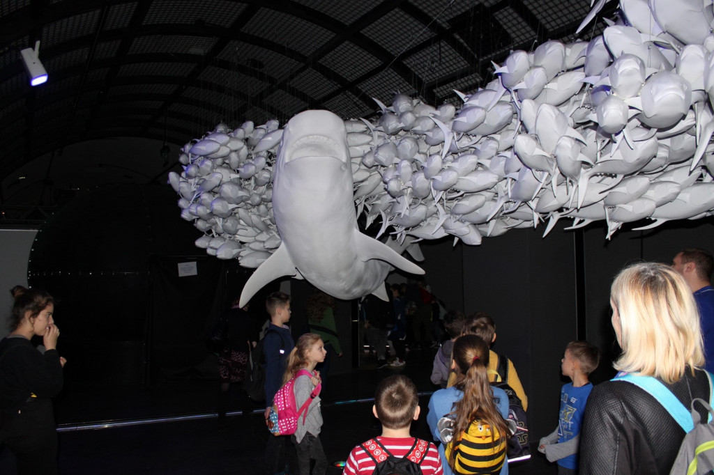 Saperskie zimowisko z Klubem 1 Pułku Saperów w Brzegu