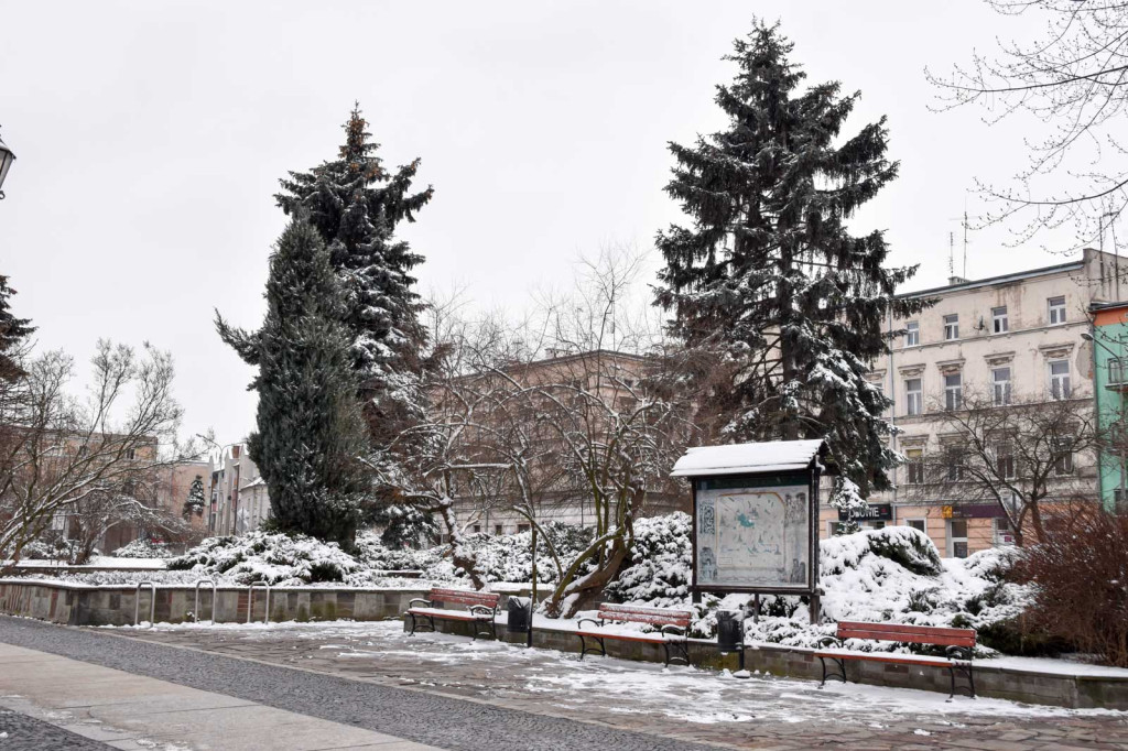 Zima w Brzegu [fotorelacja]