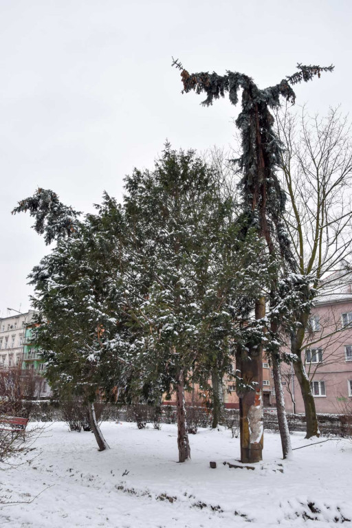 Zima w Brzegu [fotorelacja]