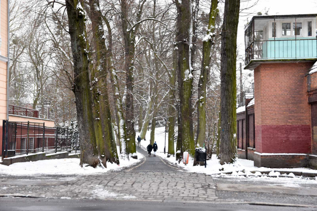 Zima w Brzegu [fotorelacja]