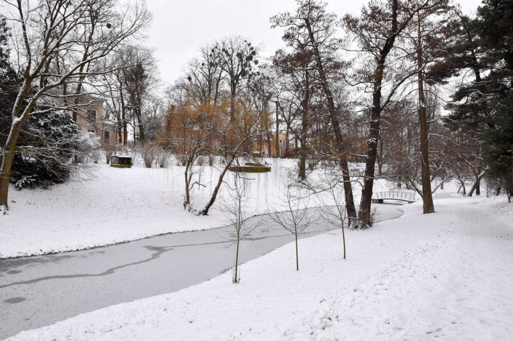 Zima w Brzegu [fotorelacja]