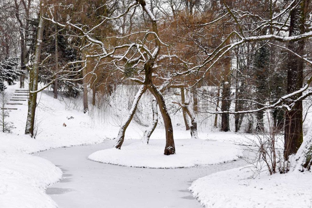 Zima w Brzegu [fotorelacja]