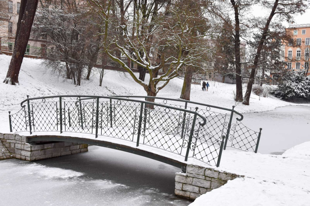 Zima w Brzegu [fotorelacja]