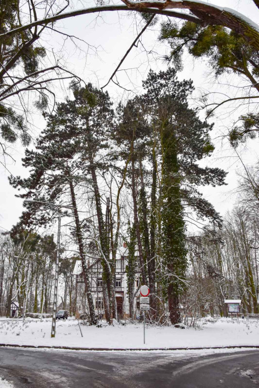 Zima w Brzegu [fotorelacja]