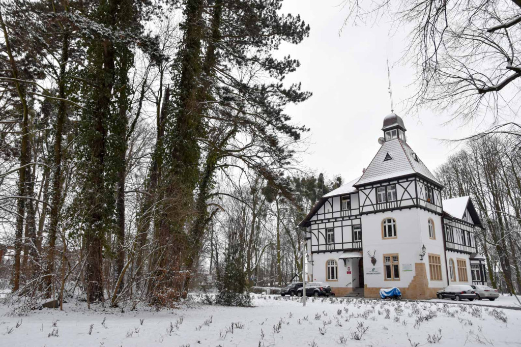 Zima w Brzegu [fotorelacja]