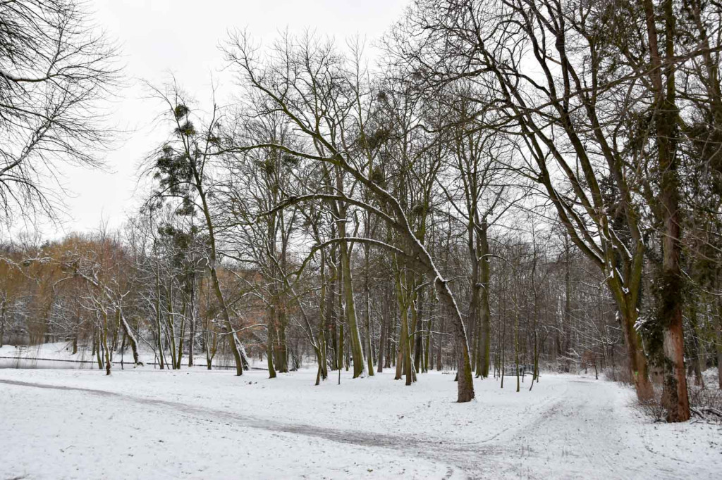 Zima w Brzegu [fotorelacja]