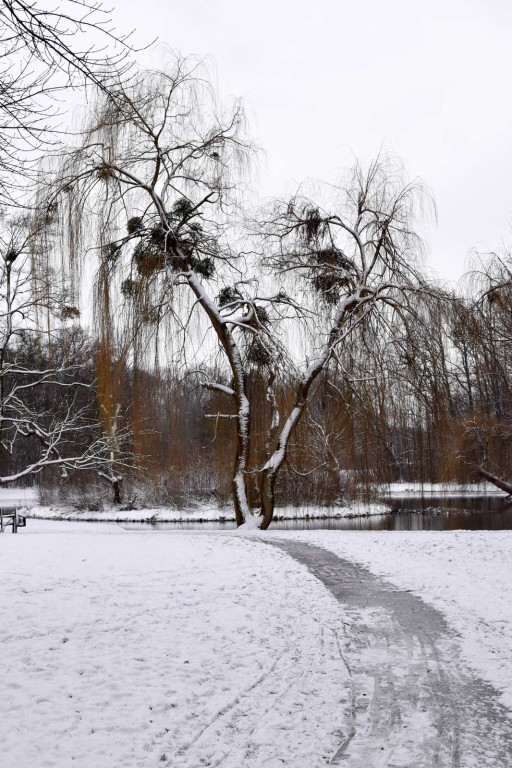Zima w Brzegu [fotorelacja]