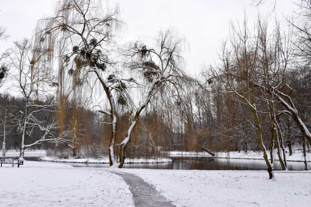 Zima w Brzegu [fotorelacja]
