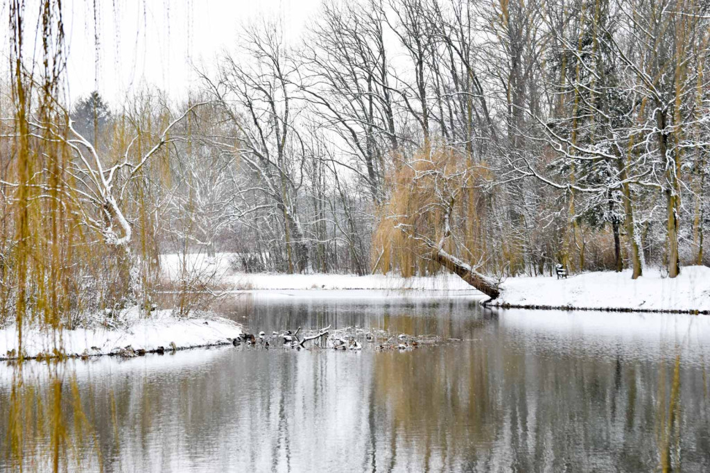 Zima w Brzegu [fotorelacja]