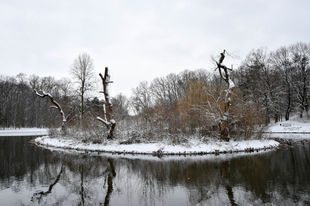 Zima w Brzegu [fotorelacja]