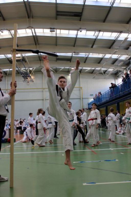 Kolejne sukcesy Taekwondoków z Opolskiego Klubu Sportów Walki !