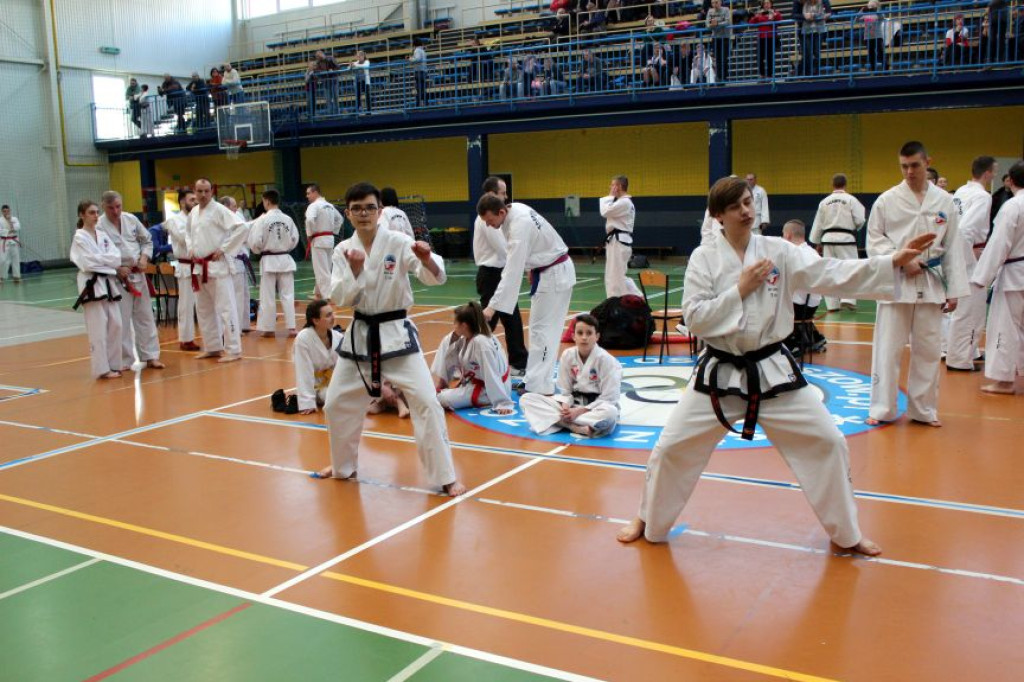 Kolejne sukcesy Taekwondoków z Opolskiego Klubu Sportów Walki !